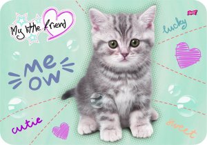 St. Majewski Podkład laminowany A3 My Little Friend mix cena za 1 szt 4