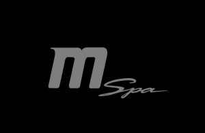 MSpa PAL-31- mSPA 67750-B0303953 OZONATOR 6