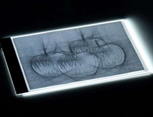 Maaleo Tablica do szkicowania 23506 5