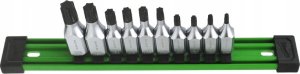 Hikoki MILWAUKEE SET OF SHANK SOCKETS 10 pcs. 3/8 TORX 5