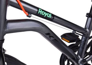 Royalbaby RoyalBaby Lekki Rower dziecięcy Gold Kable-Belt 18" dzwonek stopka RB18-45 12