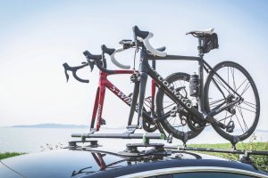 Elite Bagażnik Treefrog belki okrągłe składane 13