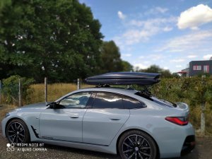 Elite BAGAŻNIK TREEFROG PRZYSSAWKI 22X BOX DO 650L SEDAN SPORTS CAR 3