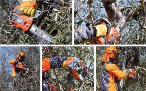 Piła łańcuchowa Oleo-Mac OLEO-MAC GST 250 PROFI PROFESJONALNA PIŁA PILARKA PRZECINARKA SPALINOWA ŁANCUCHOWA OKRZESYWARKA GAŁĘZIÓWKA DO DREWNA KLASA PREMIUM 50299001E2 EWIMAX-OFICJALNY DYSTRYBUTOR - AUTORYZOWANY DEALER OLEO-MAC 12