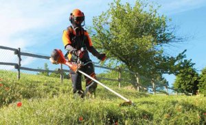 Oleo-Mac OLEO MAC BCF 550 PROFI KOSA SPALINOWA PLECAKOWA DO TRAWY BCF550 PROFESJONALNA WYKASZARKA PODKASZARKA PODCINARKA TRYMER MOC 3,7 KM KLASA PREMIUM 61409050E2A EWIMAX-OFICJALNY DYSTRYBUTOR - AUTORYZOWANY DEALER OLEO-MAC 9