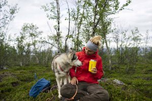 Primus Termos na żywność trailbreak lunch jug 550ml - yellow 4