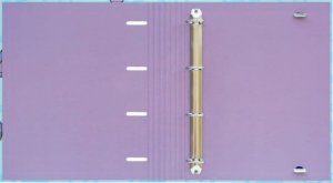 Art-Pol Disney Stitch Tropical - Segregator A4 (4 ringi, gumka) 3