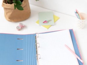 Art-Pol Disney Stitch - Segregator A4 (4 ringi, gumka) 5