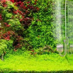 Aquarius Aquario Professional 2.0 CO2 komplektas su 5L balionu 8