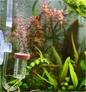 Aquarius Aquario Chihiros Nano CO2 Diffuser L 4