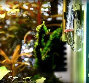 Aquarius Aquario Chihiros Nano CO2 Diffuser L 5