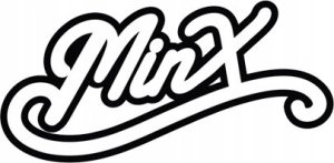 Adapter USB Apple Lightning - Jack 3.5mm Biały (CHS-1001) 9