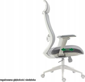 Krzesło biurowe Signal Fotel ergonomiczny ERGON czarny 11