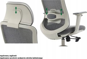 Krzesło biurowe Signal Fotel ergonomiczny ERGON czarny 12