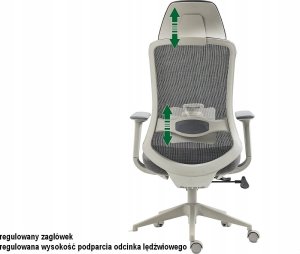 Krzesło biurowe Signal Fotel ergonomiczny ERGON czarny 13