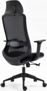 Krzesło biurowe Signal Fotel ergonomiczny ERGON czarny 7