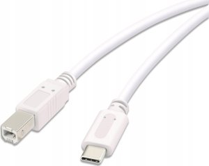 Kabel USB Vivanco Vivanco cable USB-C - USB-B 3m, white (45356) 1