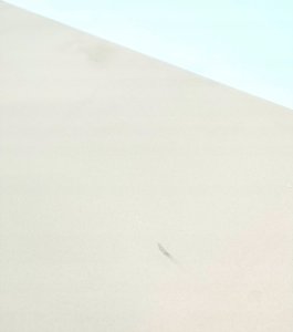 Jata Cozze kamień do pizzy 42,5×42,5 cm 3