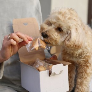 MagiaCiast Chińskie Ciasteczko szczęścia z Wróżbą Magia Podziękowanie dla Gości 1szt 8