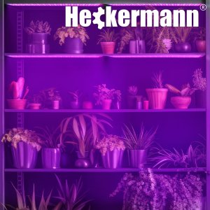 Heckermann Lampa do wzrostu roślin Heckermann PGL-A282 8