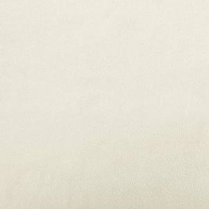 vidaXL Sofa 2-osobowa, kremowy, 120 cm, tapicerowana aksamitem 7