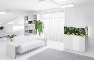 Aquael AQUAEL Szafka GLOSSY 150 biała 4