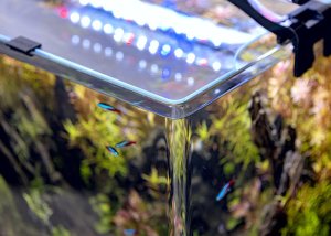 Triton AQUAEL Zestaw Aquael Opti Bent Set Day & Night [20l] - czarny 11