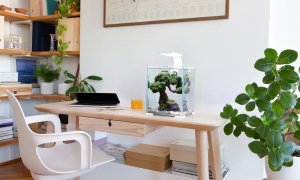 Aquael AQUAEL Zestaw Aquael Shrimp Set Smart Day & Night [10l] - biały 2