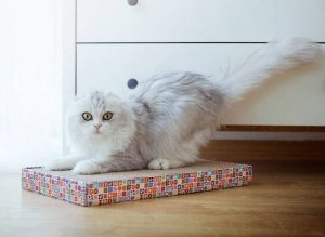Pet Supplies Pet Supplies Wide Scratcher - drapak tekturowy 45,7x25,4x3,8 [PS0628] 4