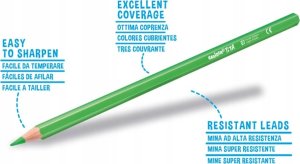 Vrige Kredki Farveblyanter 12 szt. 3