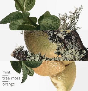 HERMES Eau D'Orange Verte EDC spray 200ml 3