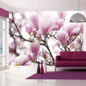 Artgeist Fototapeta - Gałązka kwitnącej magnolii 350x270 1