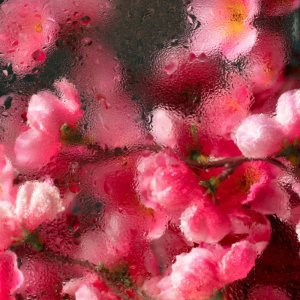 ELROEL_Golden Hour Mask maska do twarzy Camelia 25g 3