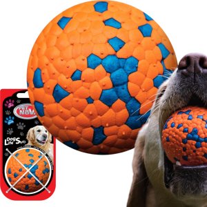 PET-NOVA Pet Nova  POLYBALL-STRONG-7CM, piłka o wysokiej odporności na ugryzienia 3