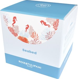 DUO Serwis obiadowy dla 6 osób Seabed 3