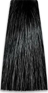 Chantal PROSALON PROFESSIONAL Intensis Color Art Profesjonalna Farba do włosów nr 1.0 czarna 100g 2