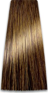 Chantal Prosalon Professional Intensis Color Art Profesjonalna Farba do włosów nr 9.00 podwójny jasny blond 100g 2