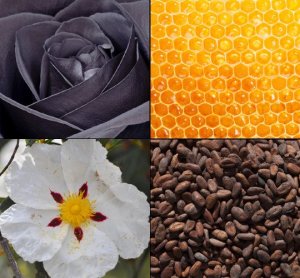 Tesori d ́Oriente Perfumy do prania TESORI D'ORIENTE Byzantium 250 ml 2