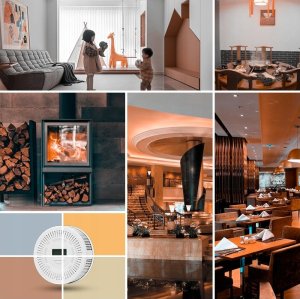 Czujnik gazu tlenku węgla i dymu 2w1 4