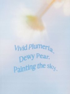 Victorias Secret Rainbow Shower Moisturizing Body Lotion 236 ml For Women 2