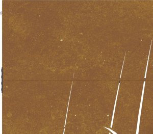 vidaXL vidaXL Furtka ogrodowa, 85x200 cm, stal kortenowska, motyw trawy 8