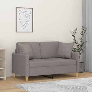 vidaXL vidaXL 2-osobowa sofa z poduszkami, jasnoszara, 120 cm, tkanina 1