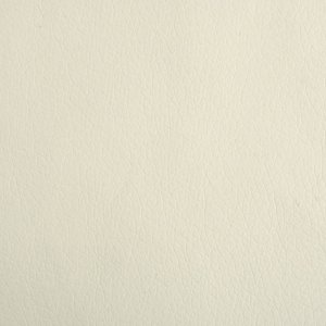 vidaXL vidaXL Legowisko dla psa, kremowe, 60x40x30 cm, sztuczna skóra 6