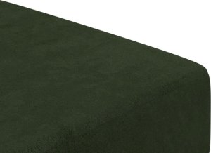 vidaXL vidaXL 2-osobowa kanapa, ciemnozielona, tapicerowana aksamitem 9