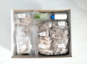 Domus Kits CUIT Składany Domek z Cegły 3D - Brama Brandenburska 4