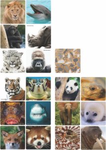 Tashka Ambassador Memo Animal Selfies 3