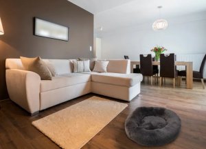 Paw Patrol Paw Love - Hundepude langhåret (60 cm) - Mørk grå 2