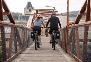 Basil Bagażnik AEROE na sakwy, spider pannier rack 5