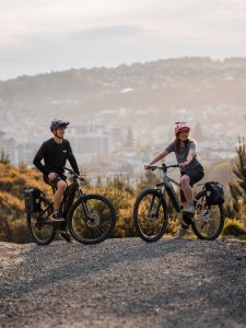 Basil Bagażnik AEROE na sakwy, spider pannier rack 6