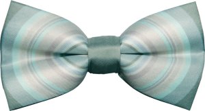 Zegarek Cavaldi Zegarek męski Charles BowTie BALSA.N.B szary 5